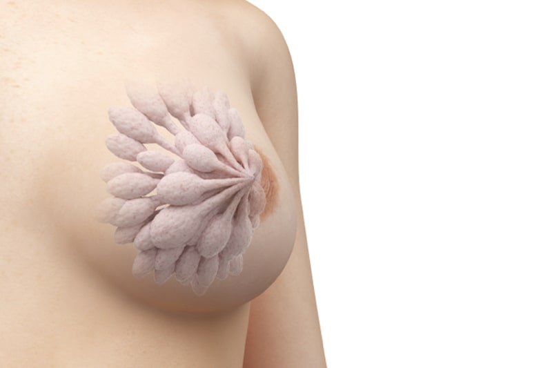 Illustrazione 3d di una mammella per descrivere la mammografia