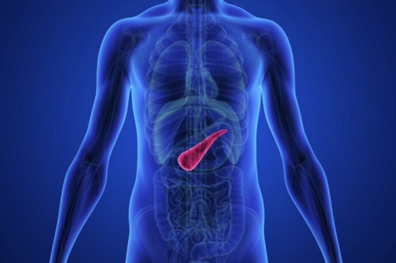 Illustrazione 3d del pancreas per descrivere la Curva glicemica