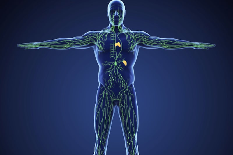 Illustrazione del corpo umano e del sistema linfatico per descrivere la biopsia linfonodo sentinella