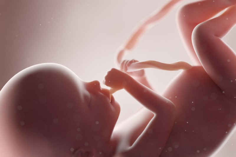 Illustrazione 3d di un feto nella placenta per descrivere lo screening neonatale