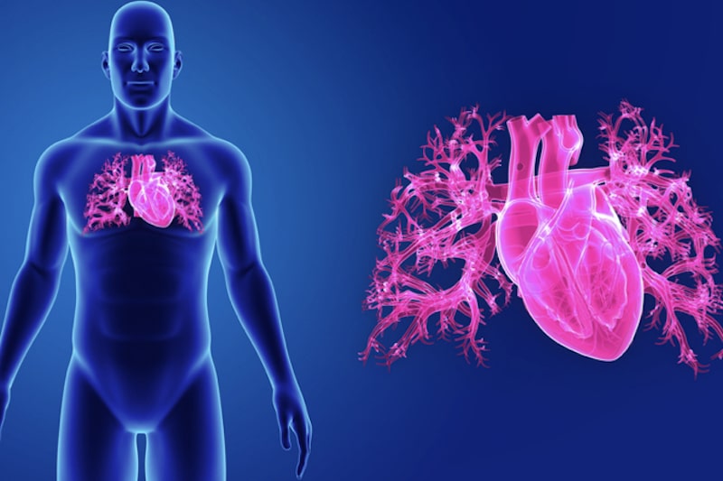 Illustrazione 3d di un cuore per descrivere il Cuore polmonare cronico