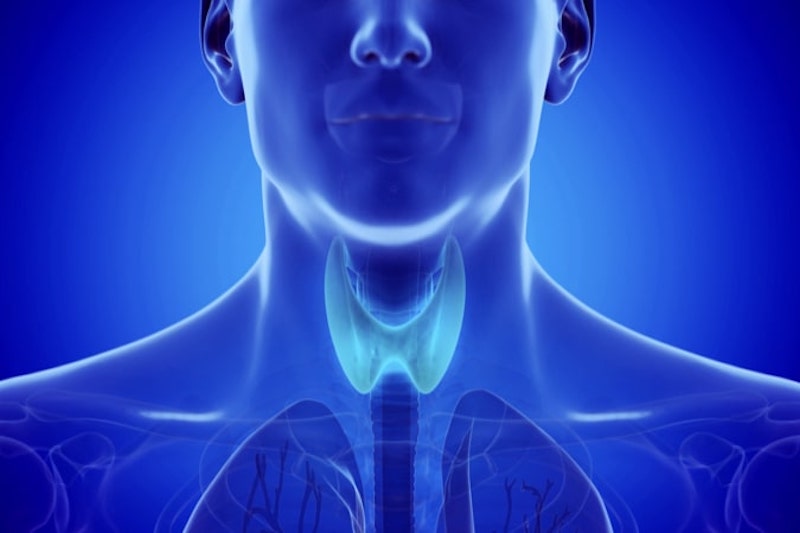 Illustrazione 3d della tiroide per descrivere l'ipertiroidismo