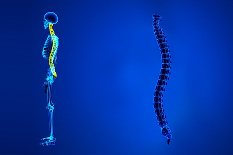 Illustrazione 3d della colonna vertebrale per descrivere il cordoma