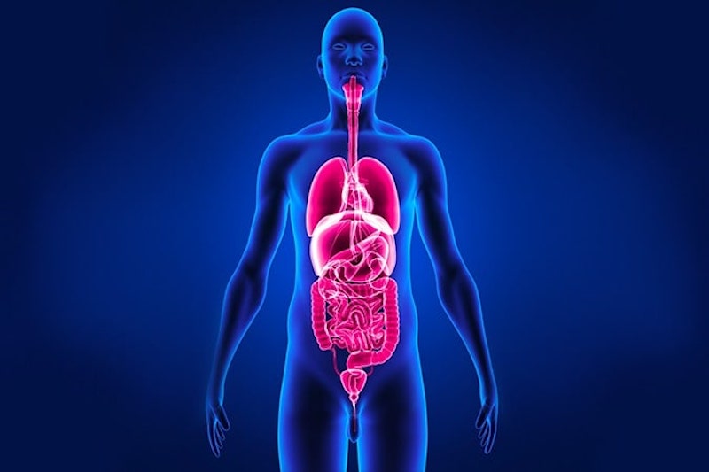 Illustrazione 3d del corpo umano per descrivere la chemioipertermia