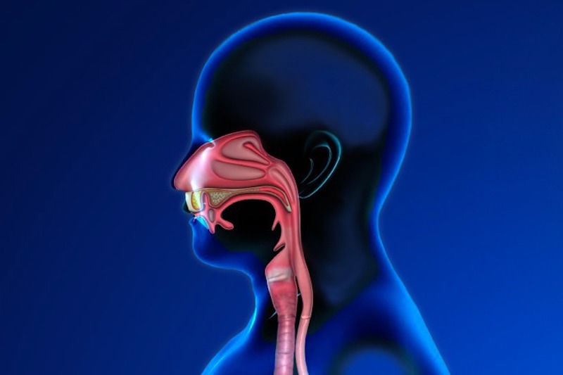 Illustrazione 3d del volto e degli adenoidi di un uomo per descrivere l'adenoidectomia