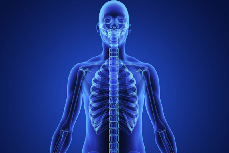 Illustrazione 3d dello scheletro umano per descrivere l'artrite settica
