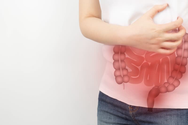 Tra le zone più colpite dalle elmintiasi c'è l'intestino e il tratto digerente