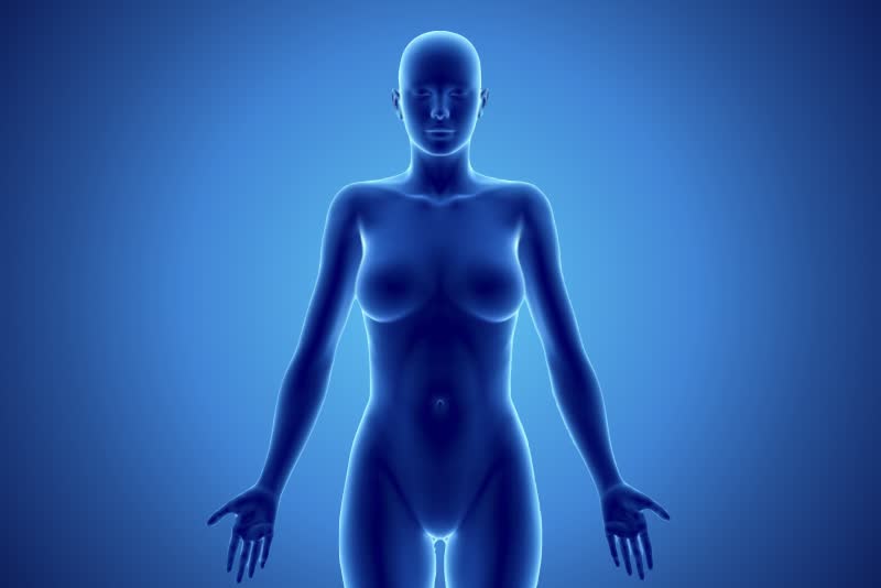 Illustrazione di un corpo femminile per descrivere l'endometriosi
