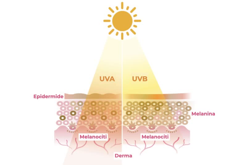 Illustrazione di raggi solari UVa e UVB a contatto con la pelle, uno dei fattori principali di formazione di tumori della pelle.