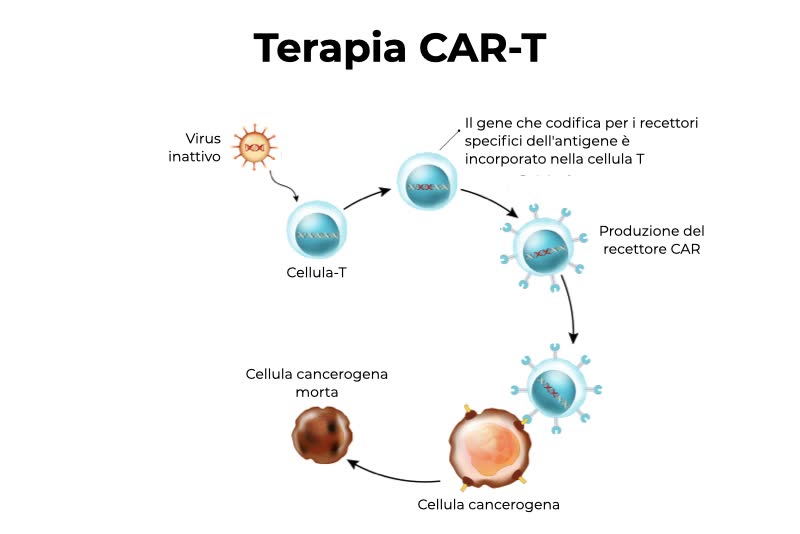 Illustrazione del funzionamento della tecnica della terapia CAR-T applicata in immunoterapia